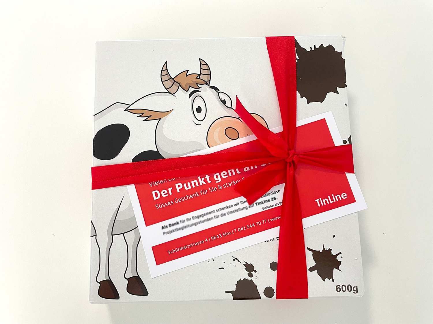 TestingDay25 bei TinLine